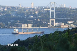Tàu di chuyển qua Eo biển Bosphorus ở Istanbul, Thổ Nhĩ Kỳ. (Nguồn: THX/TTXVN)
