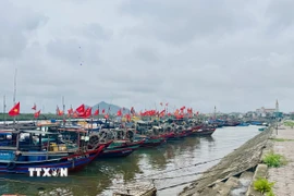 (Ảnh: Hoàng Ngà/TTXVN)