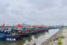 (Ảnh minh họa. Hoàng Ngà/TTXVN)