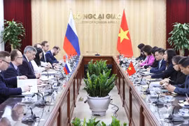 Tham vấn chính trị cấp Thứ trưởng Ngoại giao Việt Nam-Nga. (Ảnh: An Đăng/TTXVN)