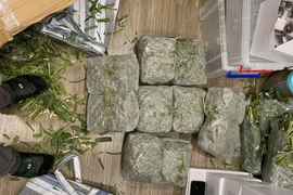 Tang vật thu giữ được trong chuyên án. (Nguồn: Báo Công an Nhân dân)