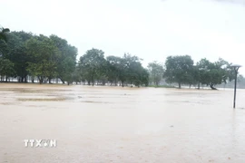 Mực nước trên sông Hương, thành phố Huế đang tăng dần khiến cồn Dã Viên bị ngập trở lại chiều 2/11. (Ảnh: Nguyên Lý/TTXVN)