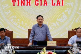 Chủ tịch Ủy ban Nhân dân tỉnh Phạm Anh Tuấn phát biểu tại buổi họp khẩn. (Ảnh: Sỹ Thắng/TTXVN)