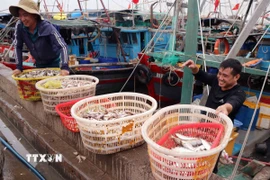 Tàu cá cập cảng cá Ngọc Hải, phường Đồ Sơn, thành phố Hải Phòng. (Ảnh: Hoàng Ngọc/TTXVN)