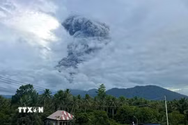 Tro bụi phun lên từ núi lửa Dukono ở Bắc Maluku, Indonesia, ngày 3/4/2026. (Ảnh: THX/TTXVN)