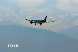 Máy bay của hãng hàng không Qatar Airways. (Nguồn: THX/TTXVN)