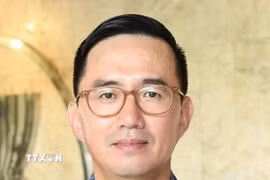 Đại sứ Trần Đức Bình, Vụ trưởng Vụ ASEAN. (Ảnh: TTXVN phát)
