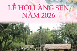Lễ hội Làng Sen năm 2026 có những hoạt động gì?