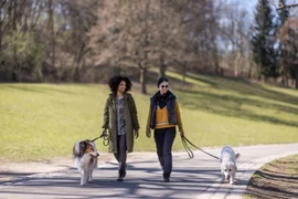 10 phút đi bộ mỗi ngày có thể là bước khởi đầu nhỏ nhưng mang lại tác động lớn cho cả thể chất lẫn tinh thần. (Nguồn: Getty Images)