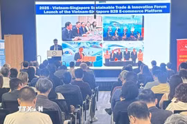 Chương trình “Kết nối doanh nghiệp bền vững và đầu tư xã hội năm 2026” giữa Việt Nam và Singapore. (Ảnh: Ngọc Khương/TTXVN)