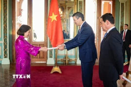 Đại sứ Việt Nam Ngô Minh Nguyệt trình Thư ủy nhiệm của Chủ tịch nước Lương Cường lên Tổng thống Paraguay Santiago Peña Palacios. (Nguồn: Đại sứ quán Việt Nam cung cấp)