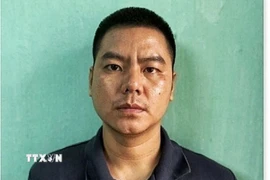 Đối tượng Lê Hữu Tuấn tại cơ quan điều tra. (Nguồn: TTXVN phát)