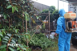 Trung tâm Y tế Khu vực Bù Gia Mập phun hóa chất diệt muỗi tại khu dân cư xã Phú Nghĩa. (Ảnh: K GỬIH/TTXVN)