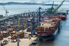 Quang cảnh cảng hàng hóa ở Rio de Janeiro, Brazil. (Ảnh: THX/TTXVN)