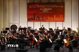 Một tiết mục tại chương trình hòa nhạc. (Ảnh: Phạm Kiên/TTXVN)