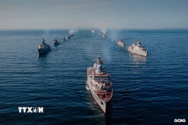 Đội hình chào cờ. (Nguồn: Quân chủng Hải quân/TTXVN phát)