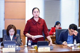 Đại biểu Quốc hội tỉnh Tuyên Quang Ma Thị Thúy phát biểu. (Ảnh: Doãn Tấn/TTXVN)