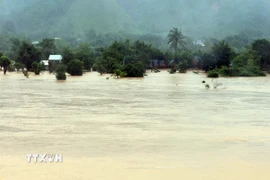 Nước lũ dâng cao trên sông Cu Đê, thành phố Đà Nẵng. (Ảnh: Đỗ Trưởng/TTXVN)