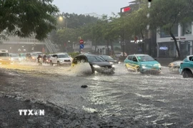 (Ảnh minh họa: An Đăng/TTXVN)