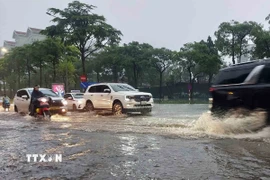 (Ảnh minh họa: Văn Điệp/TTXVN)