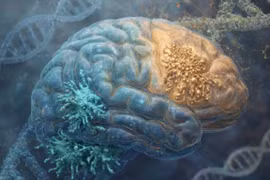 Ảnh minh họa. (Nguồn: Neuroscience News)