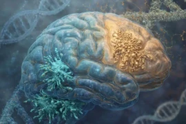Ảnh minh họa. (Nguồn: Neuroscience News)