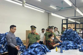 Đoàn công tác kiểm tra hoạt động sản xuất, kinh doanh tại xã La Phù (Hoài Đức, Hà Nội). (Ảnh: TTXVN phát)