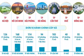 Thông tin về 7 thành phố trực thuộc Trung ương