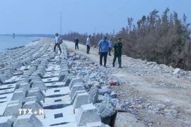 Các lực lượng chức năng đi kiểm tra vị trí xung yếu tại khu vực kè Hải Thịnh. (Ảnh: Công Luật/TTXVN)