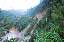 Khung cảnh núi rừng trên con đường vào bản Na Ngân bị loang lổ, nham nhở bởi những vụ sạt lở, sụt trượt đất đá kéo theo những khoảng rừng xanh xuống vực sâu. (Ảnh: Xuân Tiến/TTXVN)
