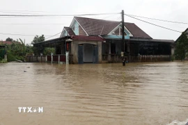 Nước lũ bủa vây nhiều khu vực ở hạ du sông Bồ, trong đó có xã Đan Điền, thành phố Huế. (Ảnh: Đỗ Trưởng/TTXVN)