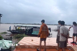 Sạt lở bờ sông Tiền thuộc ấp Tân Quới, xã Tân Long, tỉnh Đồng Tháp làm 4 căn nhà của người dân đổ sụp xuống sông. (Nguồn: TTXVN phát)