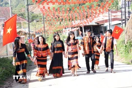 Cử tri đồng bào dân tộc thiểu số Xê Đăng, xã Trà Linh, thành phố Đà Nẵng đến điểm bầu cử tìm hiểu tiểu sử các ứng cử viên Quốc hội và Hội đồng Nhân dân. (Ảnh: Trần Tĩnh/TTXVN)