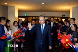 Cán bộ, nhân viên Đại sứ quán, cộng đồng người Việt Nam tại Australia đón Tổng Bí thư, Chủ tịch nước Tô Lâm. (Ảnh: Thống Nhất/TTXVN)