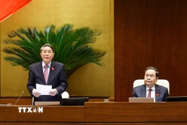 Phó Chủ tịch Quốc hội Nguyễn Đức Hải phát biểu. (Ảnh: Doãn Tấn/TTXVN)