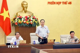 Chủ tịch Quốc hội Trần Thanh Mẫn phát biểu khai mạc Phiên họp thứ 48 của Uỷ ban Thường vụ Quốc hội. (Ảnh: Doãn Tấn/TTXVN)