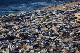 Khu lều tạm cho người tị nạn Palestine tại thành phố Gaza, ngày 1/9/2025. (Nguồn: THX/TTXVN)