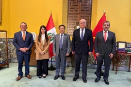 Đại sứ Bùi Văn Nghị làm việc chào xã giao Thứ trưởng Ngoại giao Peru Felix Denegri Boza. (Nguồn: Đại sứ quán cung cấp)