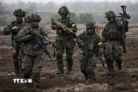 Binh sỹ Đức tham gia tập trận tại Altengrabow ở miền Đông nước này. (Ảnh: AFP/TTXVN)