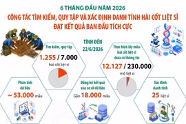 Công tác tìm kiếm, quy tập và xác định danh tính hài cốt liệt sỹ