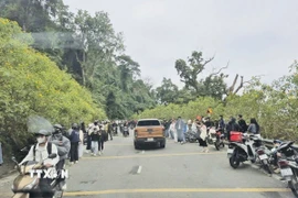 Du khách tập trung rất đông chụp ảnh trên những cung đường hoa dã quỳ rực rỡ. (Ảnh: Tuyết Mai/TTXVN)