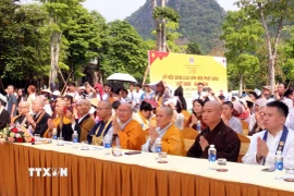 Tăng ni, phật tử và du khách tham gia Lễ hội giao lưu văn hóa Phật giáo Việt Nam và Nhật Bản. (Ảnh: Nguyễn Chinh/TTXVN)