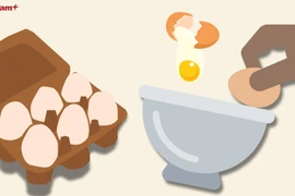 (Ảnh minh họa. (Nguồn: Vietnam+)