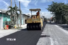 Tranh thủ thời tiết khô ráo, nhà thầu triển khai thảm nhựa Quốc lộ 30, đoạn qua ấp Gò Da, xã Tân Hồng. (Ảnh: Nhựt An/TTXVN)