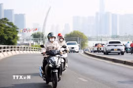 (Ảnh minh họa. Hồng Đạt/TTXVN)