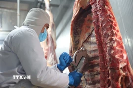 (Ảnh minh họa: Thanh Tân/TTXVN)