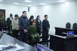 Các bị cáo tại phiên tòa. (Ảnh: Kim Anh/TTXVN)