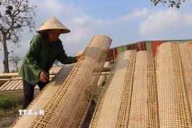 Người dân tranh thủ trời nắng phơi bánh ram. (Ảnh: Hoàng Ngà/TTXVN)