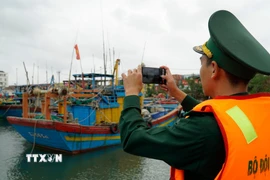 Bộ đội biên phòng tỉnh Gia Lai thường xuyên kiểm tra, ghi lại hình ảnh vị trí neo đậu của tàu cá "3 không." (Ảnh: Đình Quân/TTXVN)