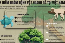7 điểm ngắm động vật hoang dã tại Việt Nam